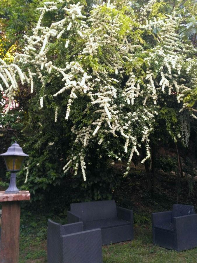Bienvenue ! Apartment Moissac Luaran gambar